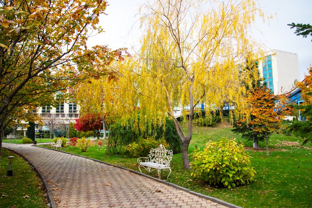 Photograph by Роман Приходько