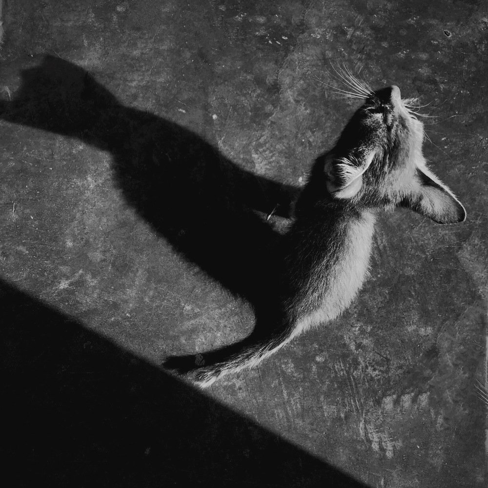 Photograph by Deasy Junita Dhani Hidayana