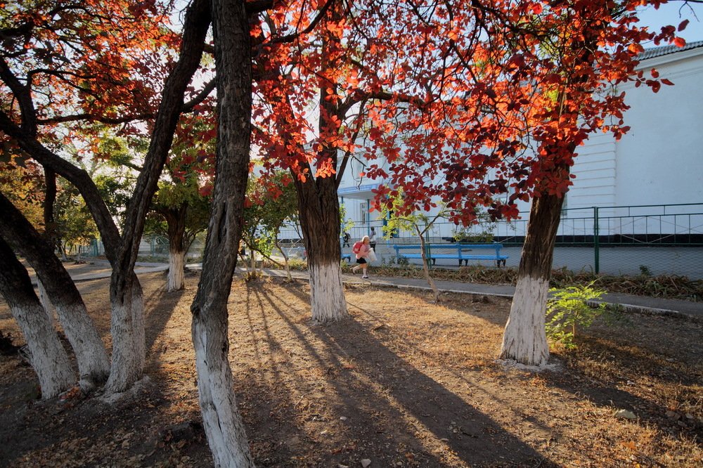 Фотография автора Александр Челмодеев