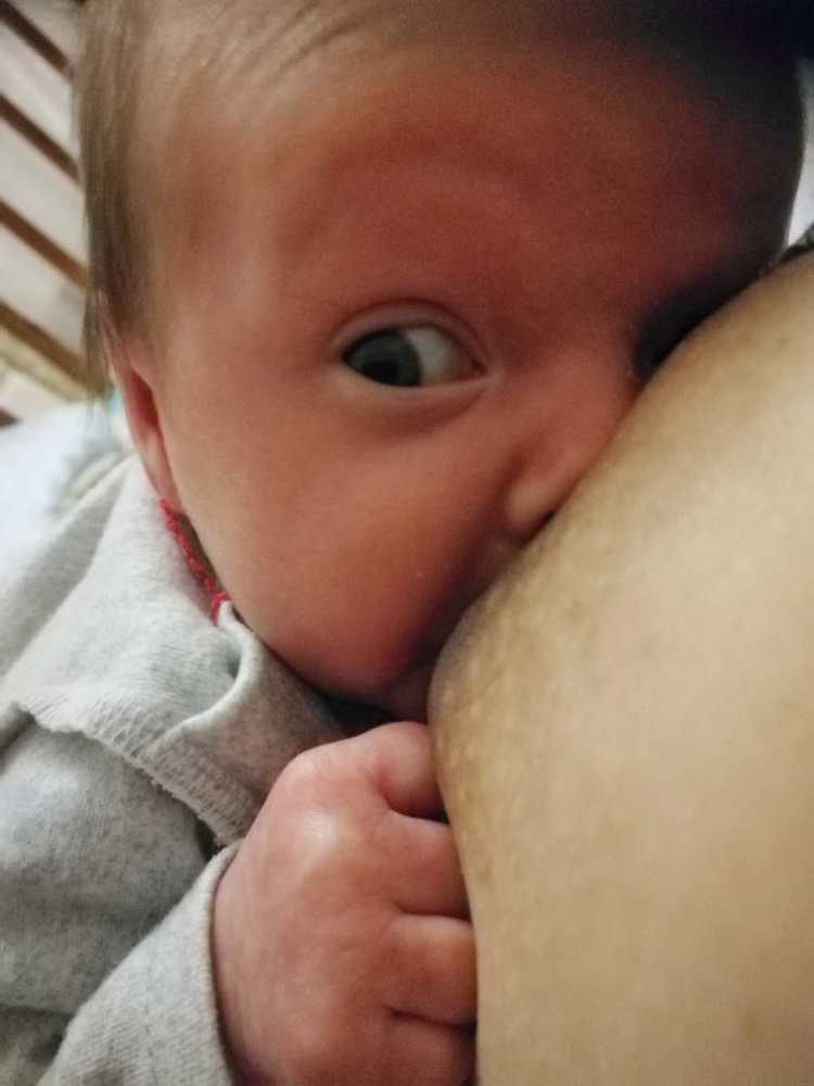 Фотография автора Лилия Зейферт