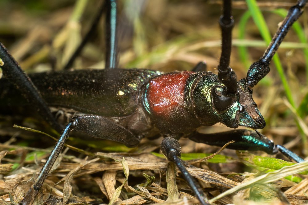 Photograph by Анастасия Киселева