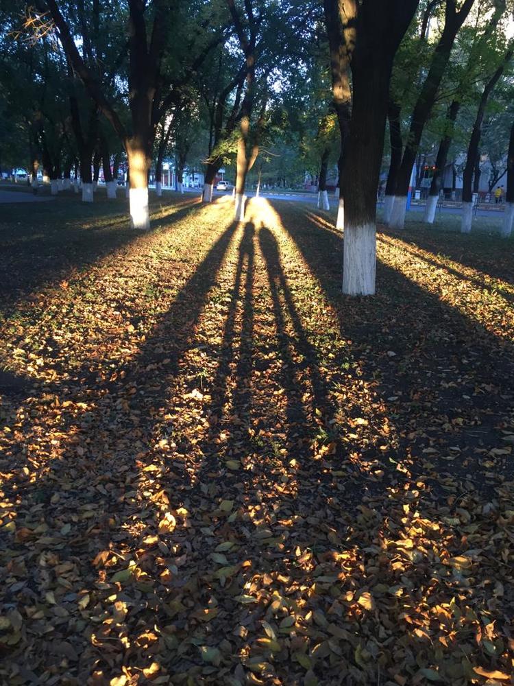 Photograph by Хаим Грехъ