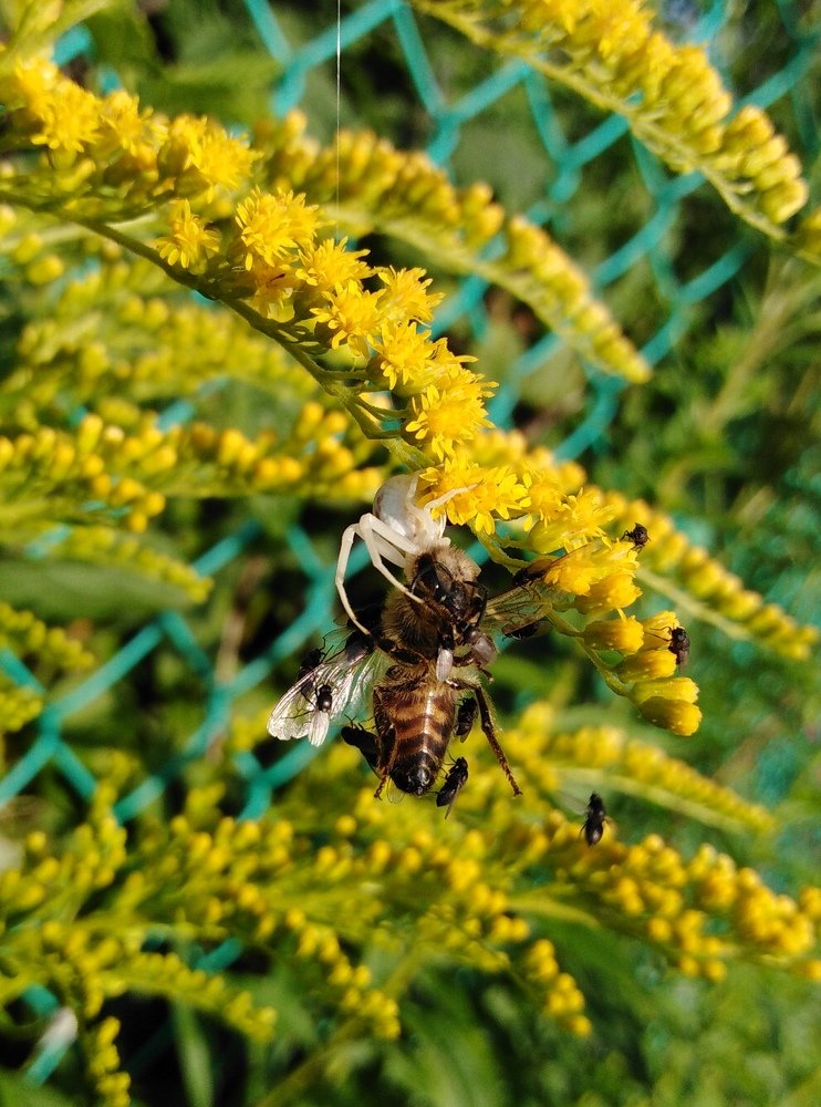 Photograph by Ольга Вячеславовна