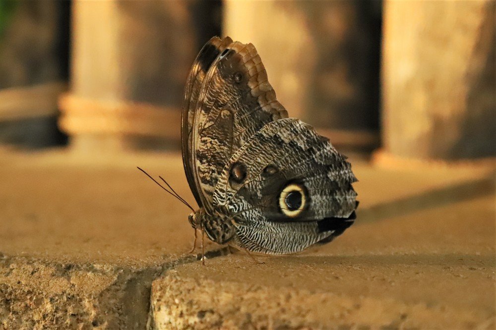 Photograph by Андрей Телибаев