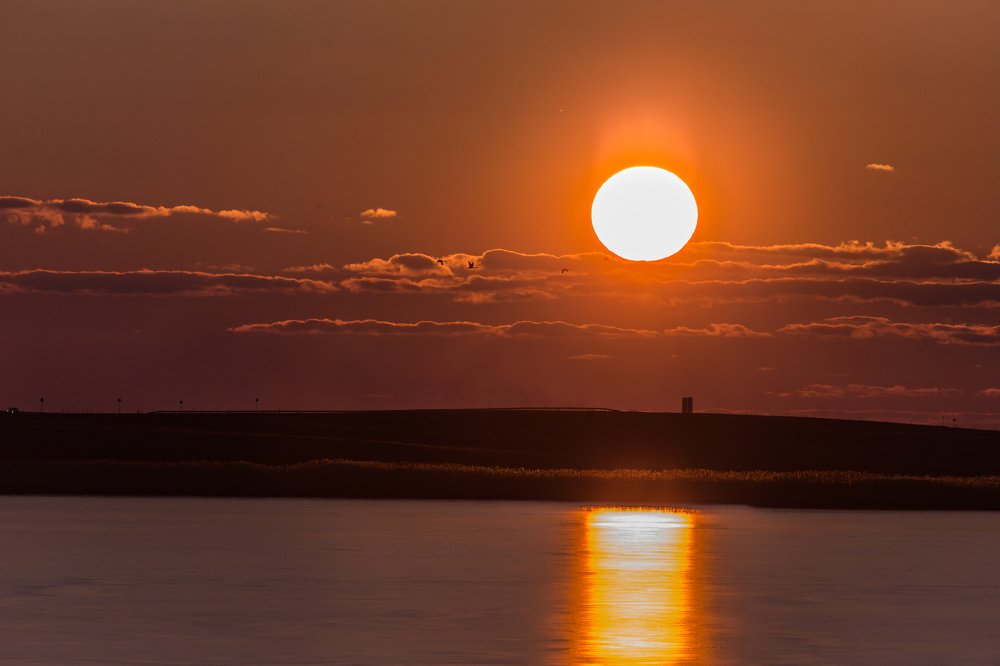 В лучах осеннего заката.