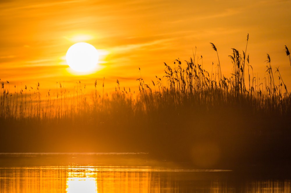 Photograph by Дмитрий Власов