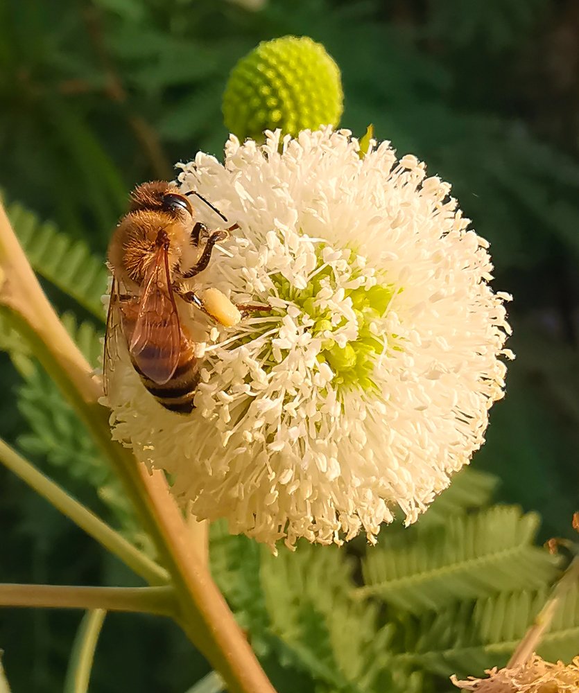 Photograph by Александр Деревяшкин