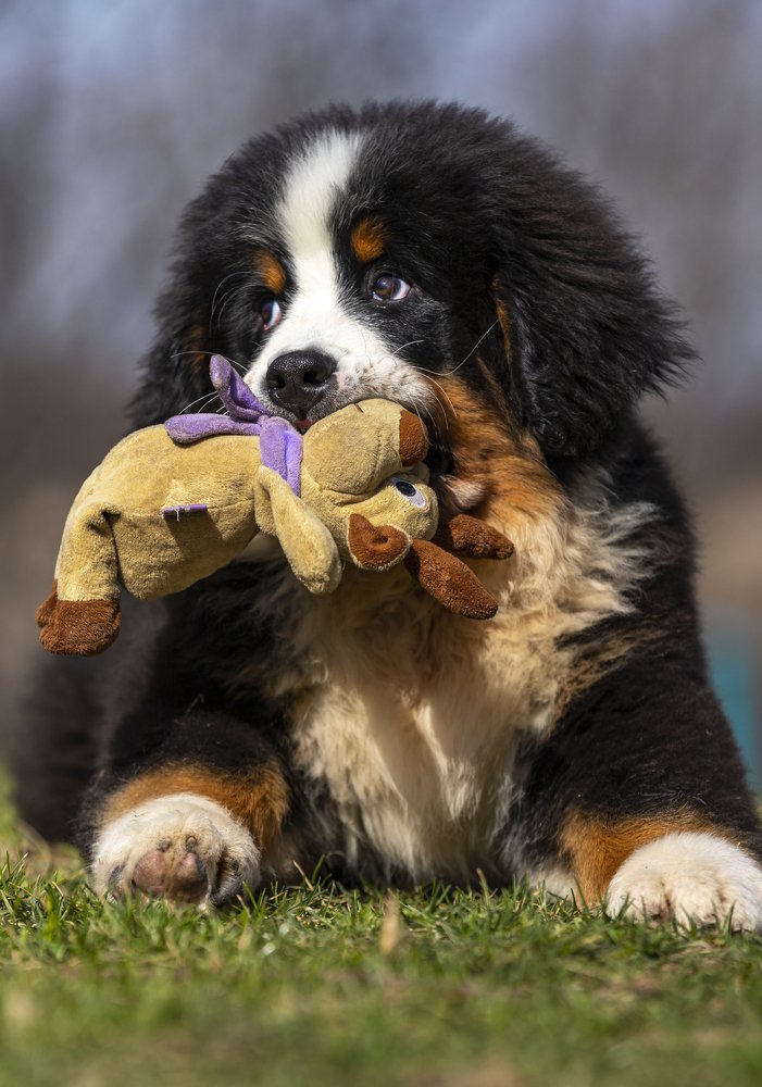 Photograph by Яна Толмачёва