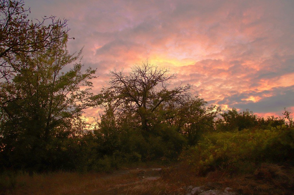 Photograph by Nicolae Dudnicenco