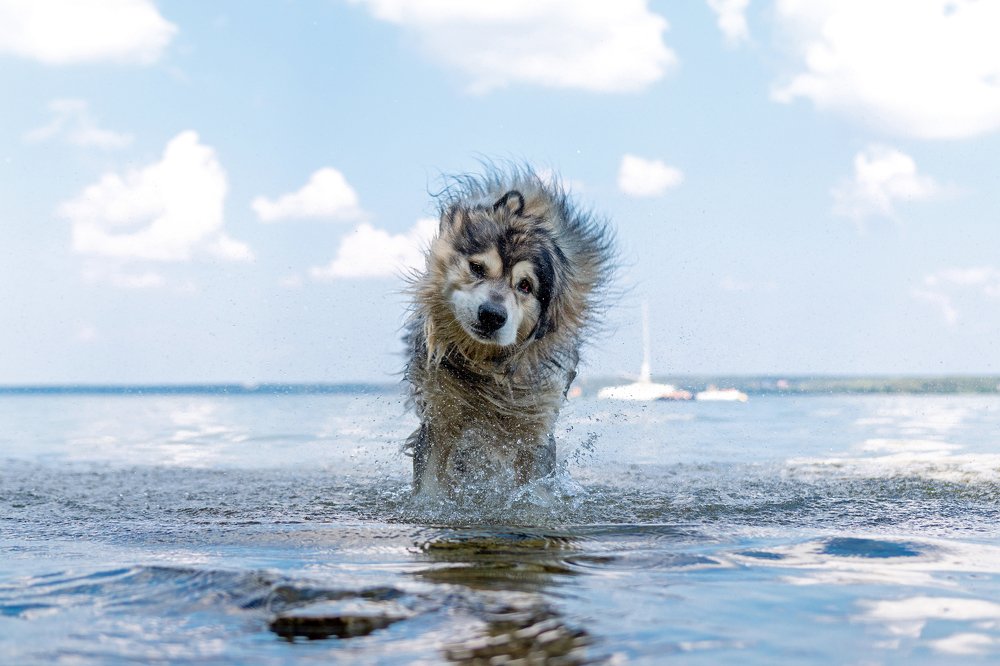 Photograph by Evgeny Pyatkov