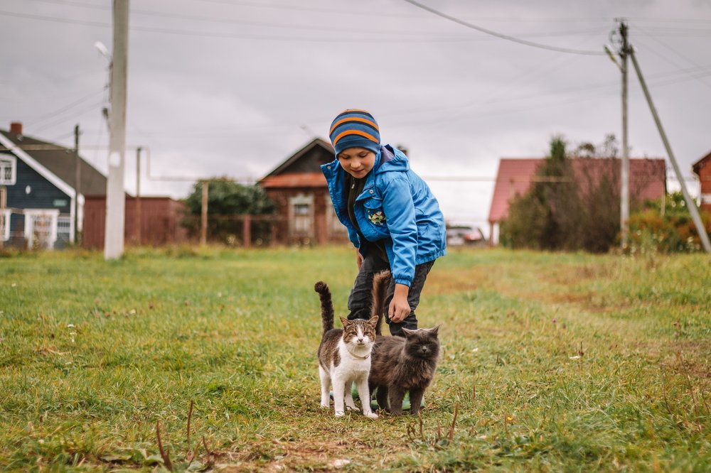 Photograph by Виктория Копытова