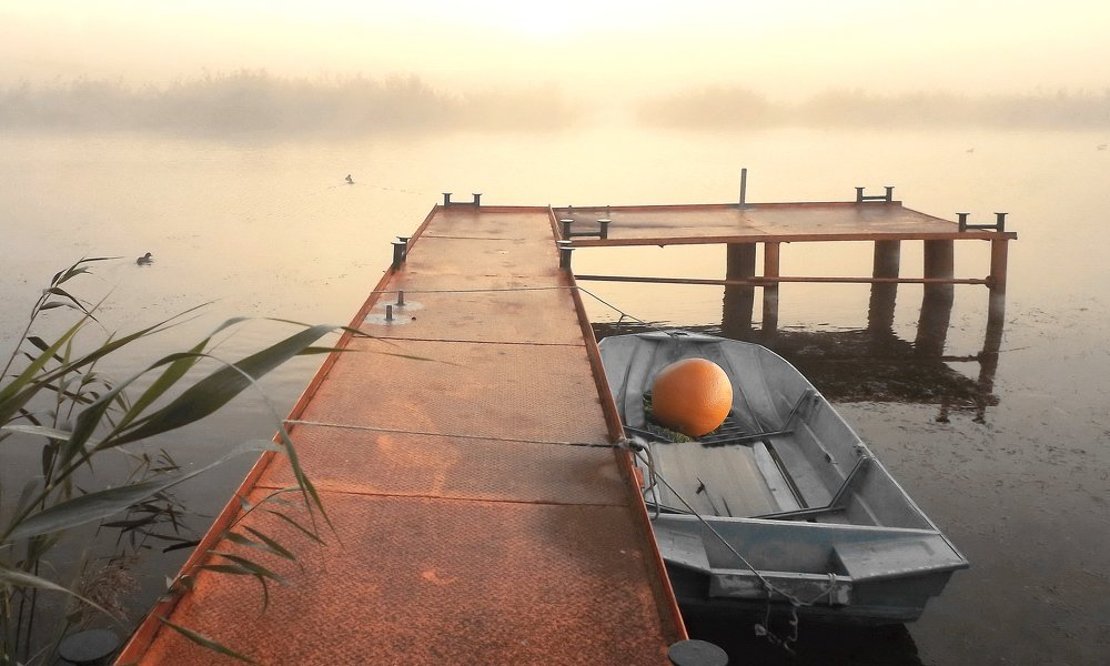 Photograph by Сергей Кошелев