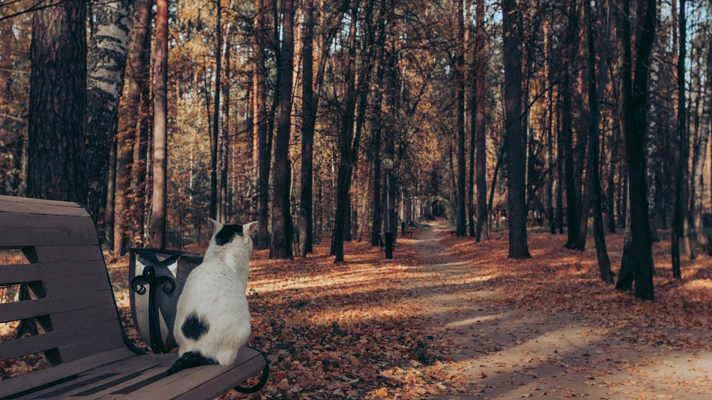 Photograph by Виктория Копытова