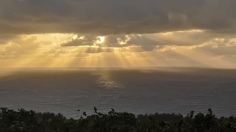 Photograph by Krip Pichano