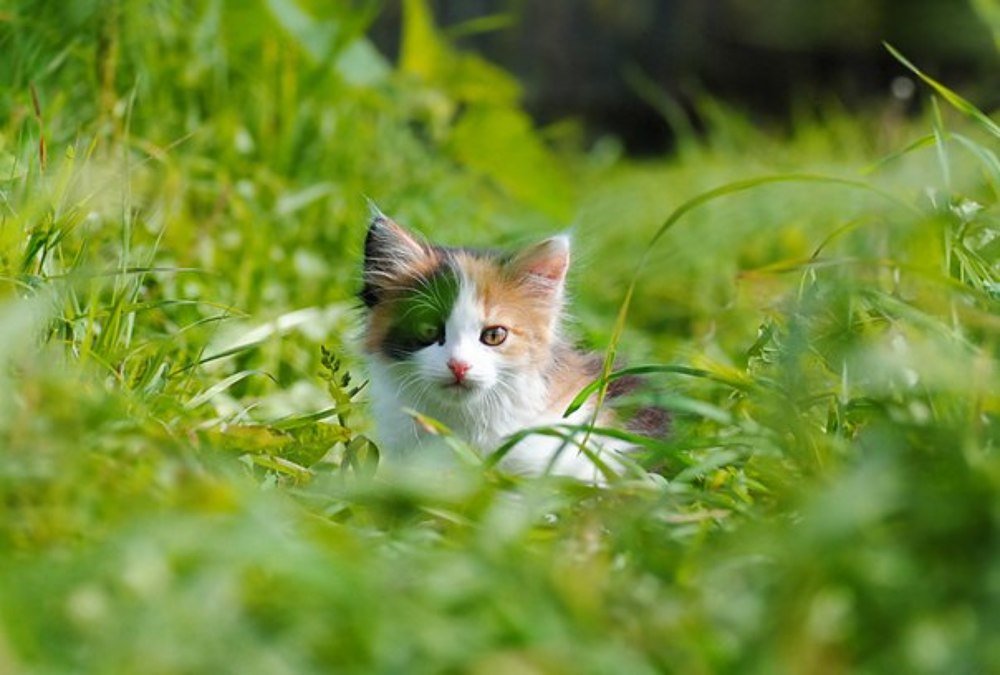 Photograph by Suslova Alena