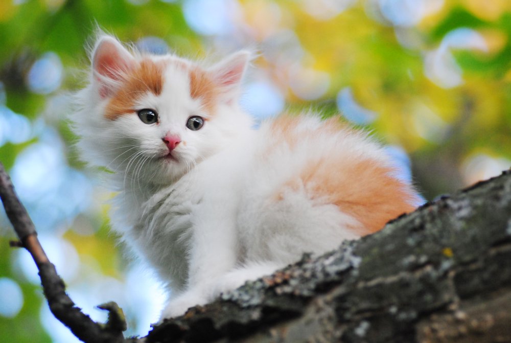 Photograph by Suslova Alena