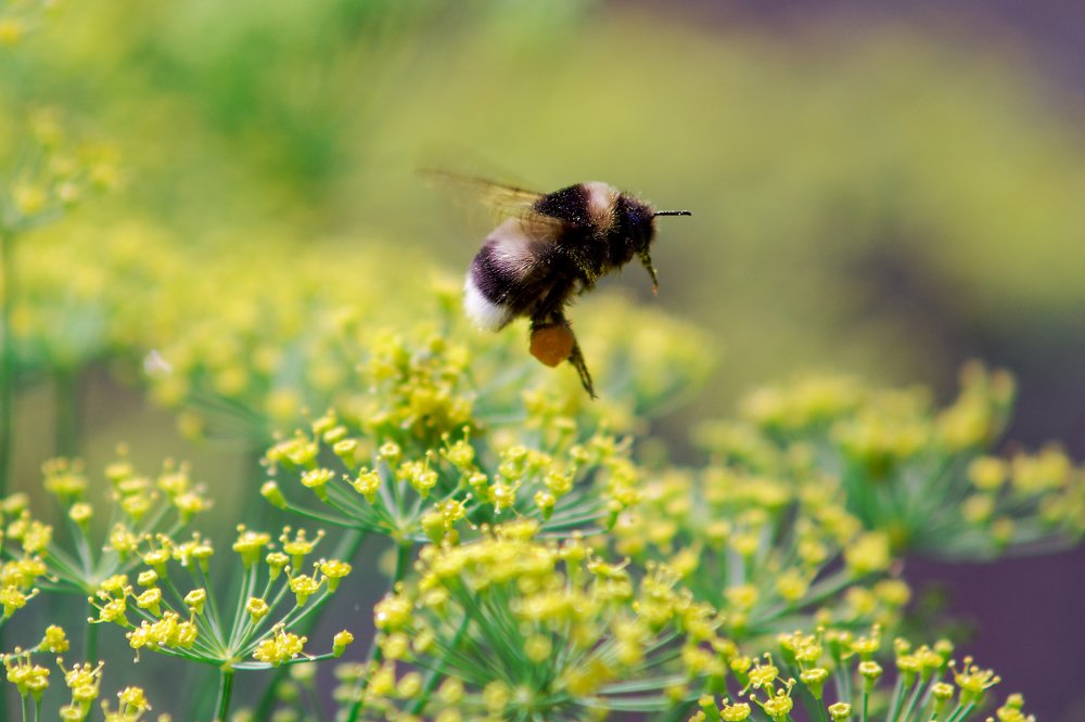 Photograph by Вячеслав Кирьянов