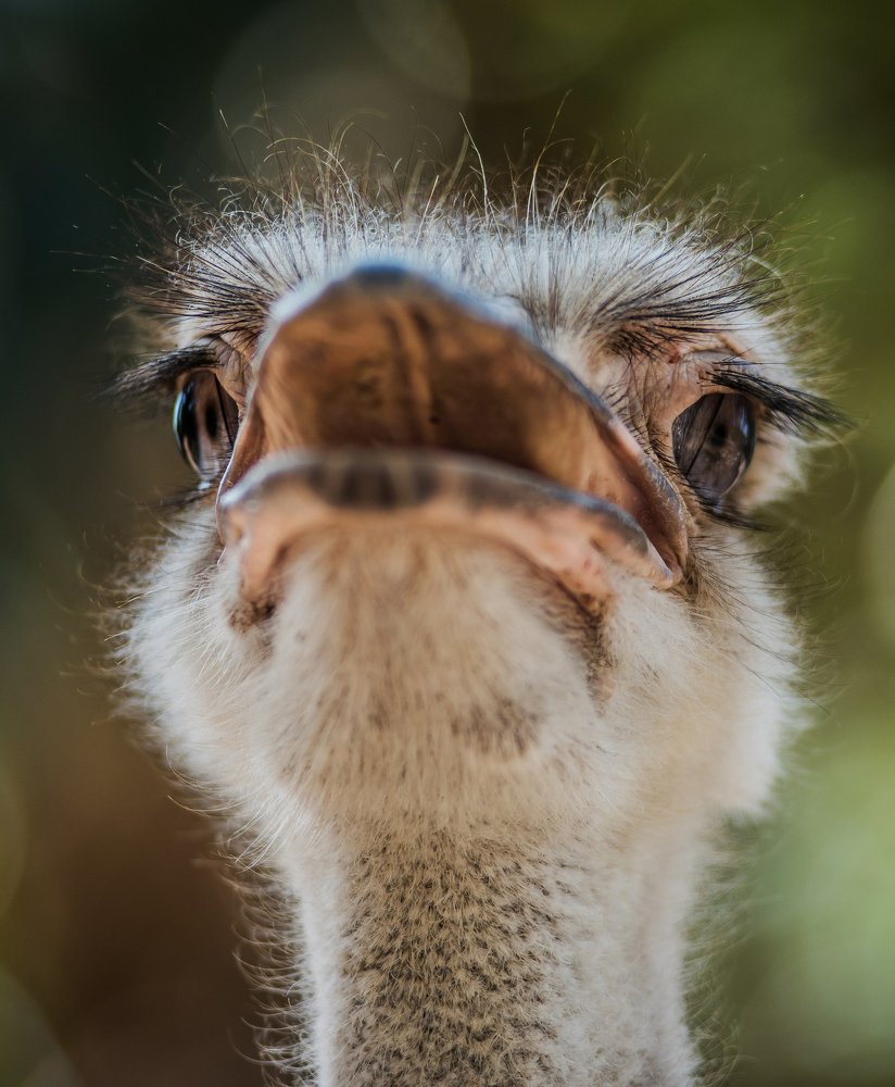 Photograph by Даркина Дарья