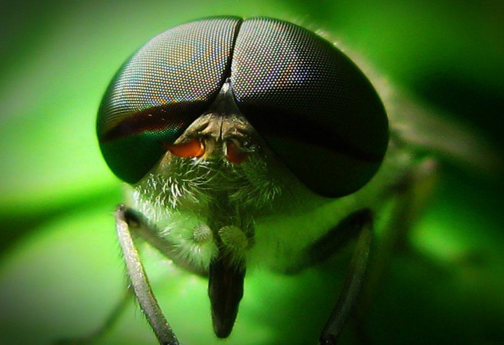 Photograph by Даркина Дарья