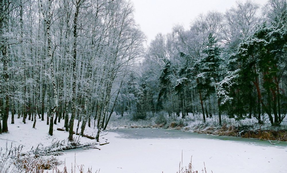 Photograph by Константин Лагоденко