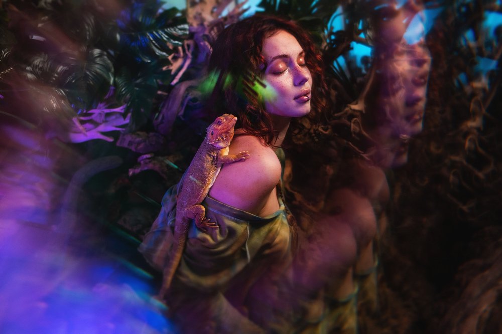 Хладнокровные