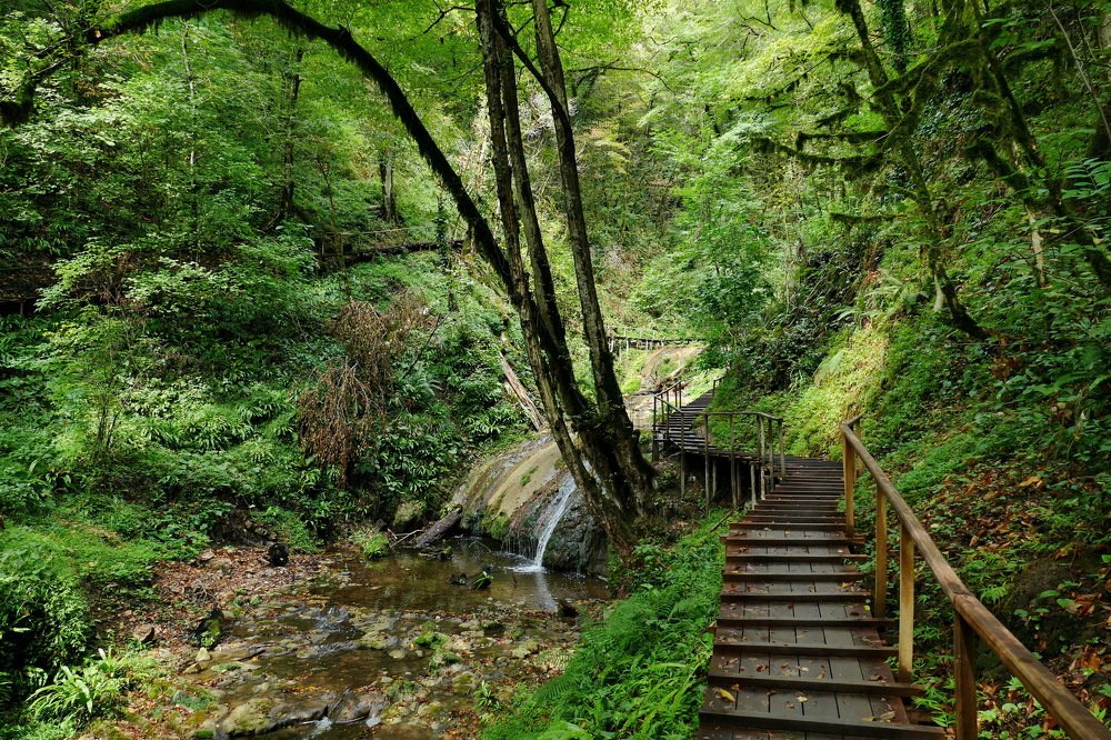 Photograph by Константин Лагоденко