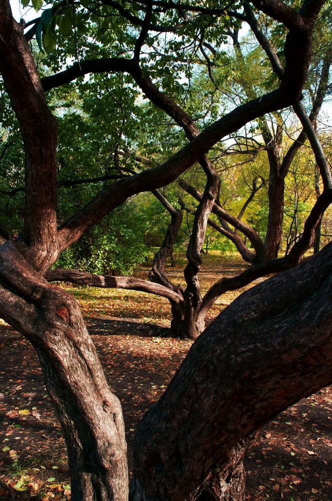 Photograph by Наталия Белозерова