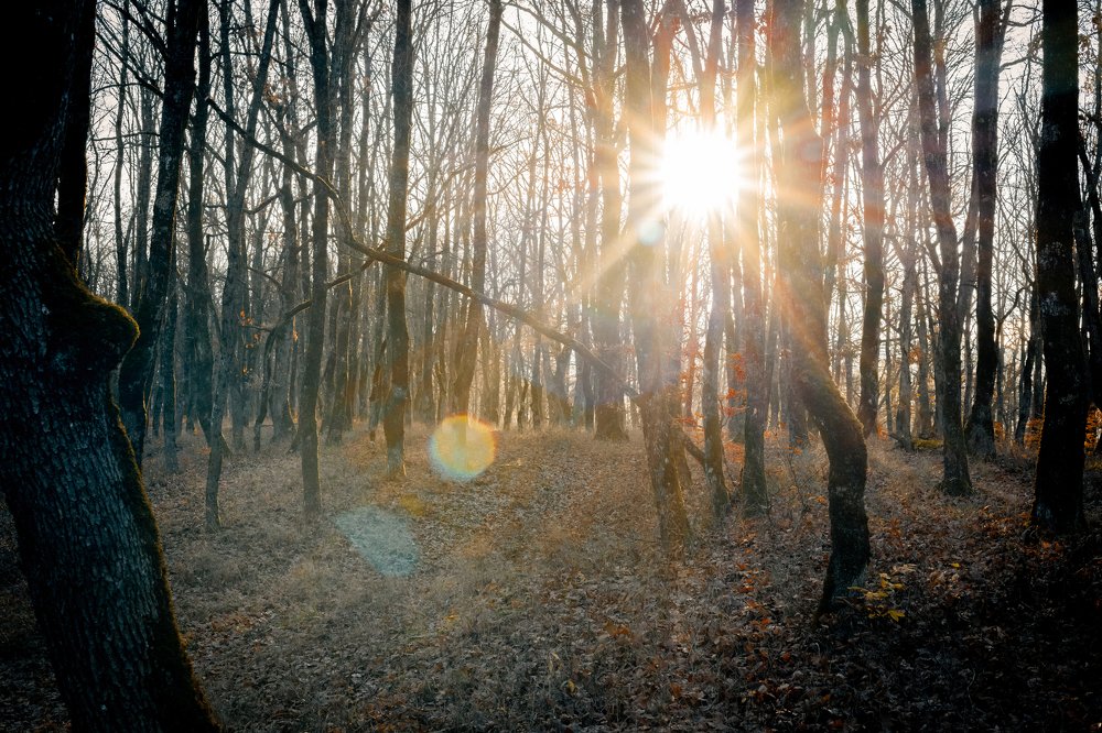 Photograph by Александра Рубан