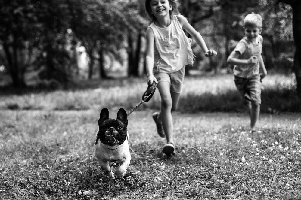 Photograph by Наталья Онянова