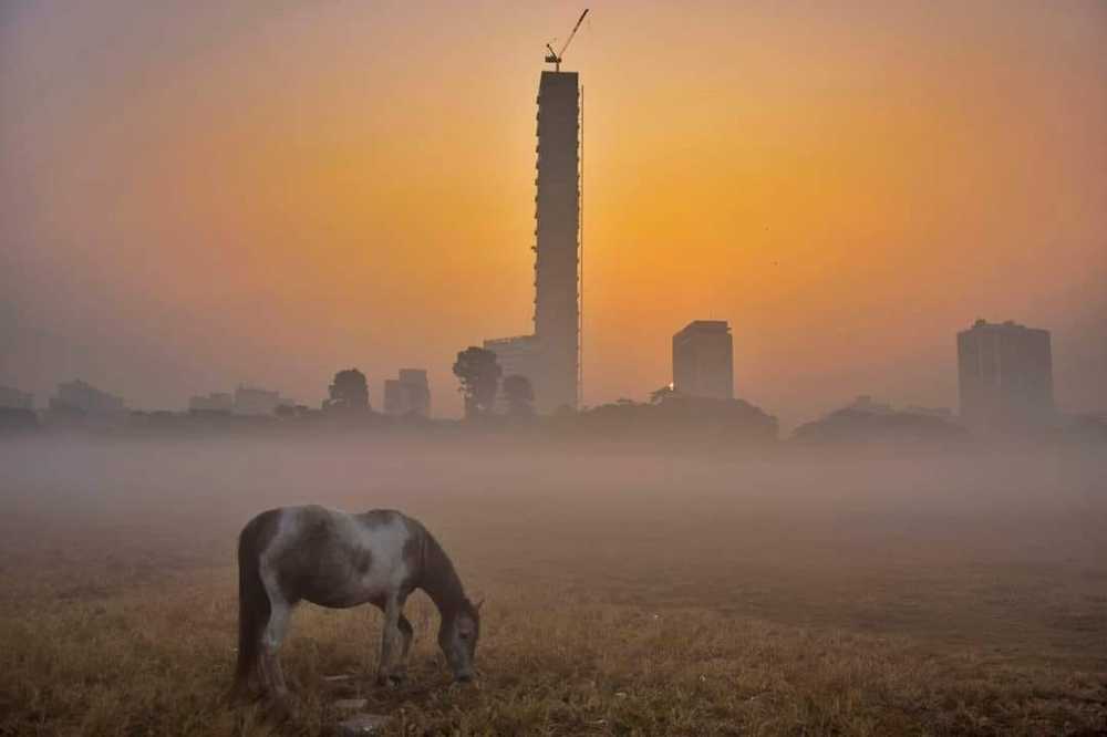 Photograph by animesh sen sarma