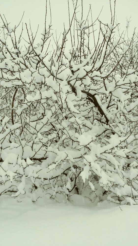 Photograph by Светлана