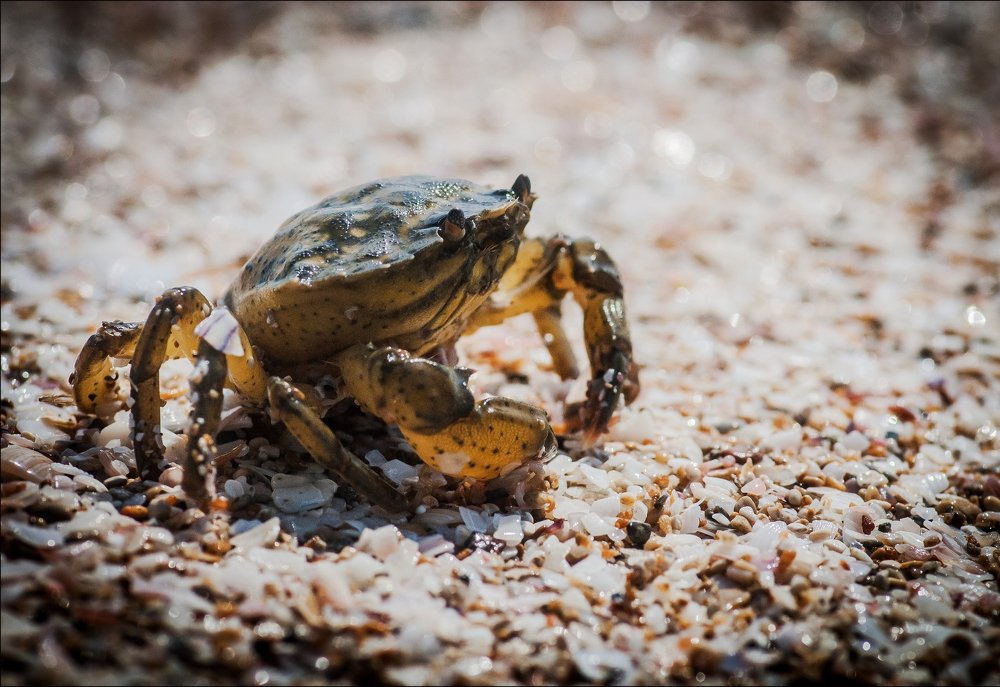 Photograph by Даркина Дарья