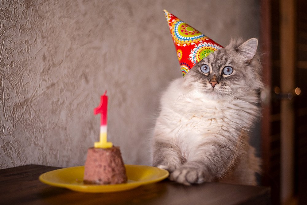 Шерлоку годик