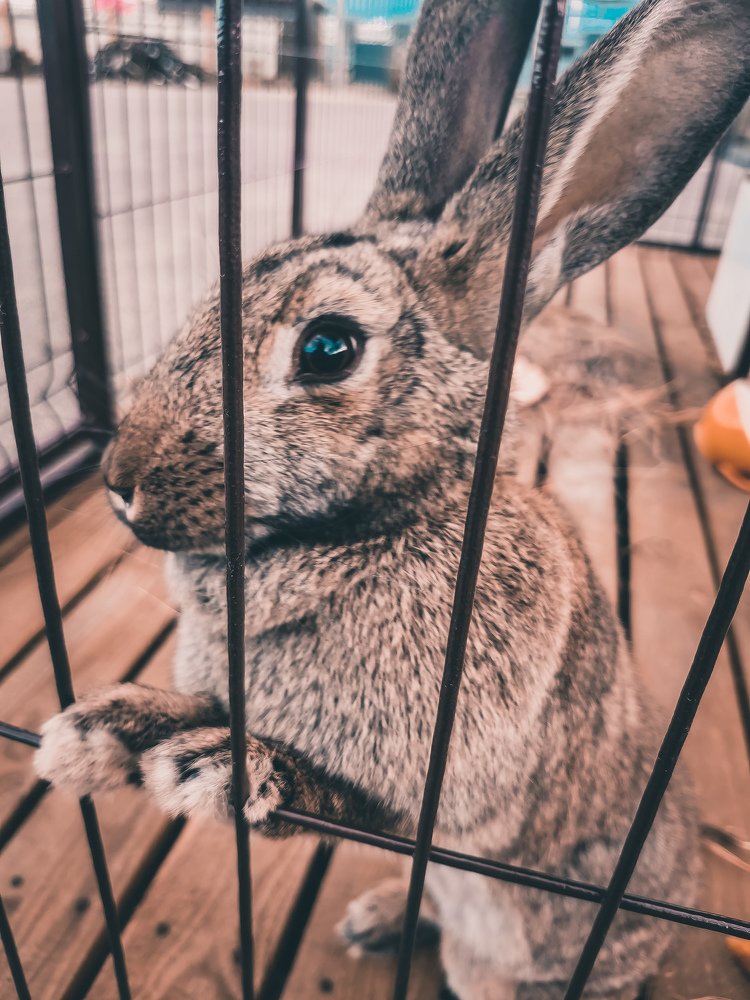 Photograph by Николаев Роман