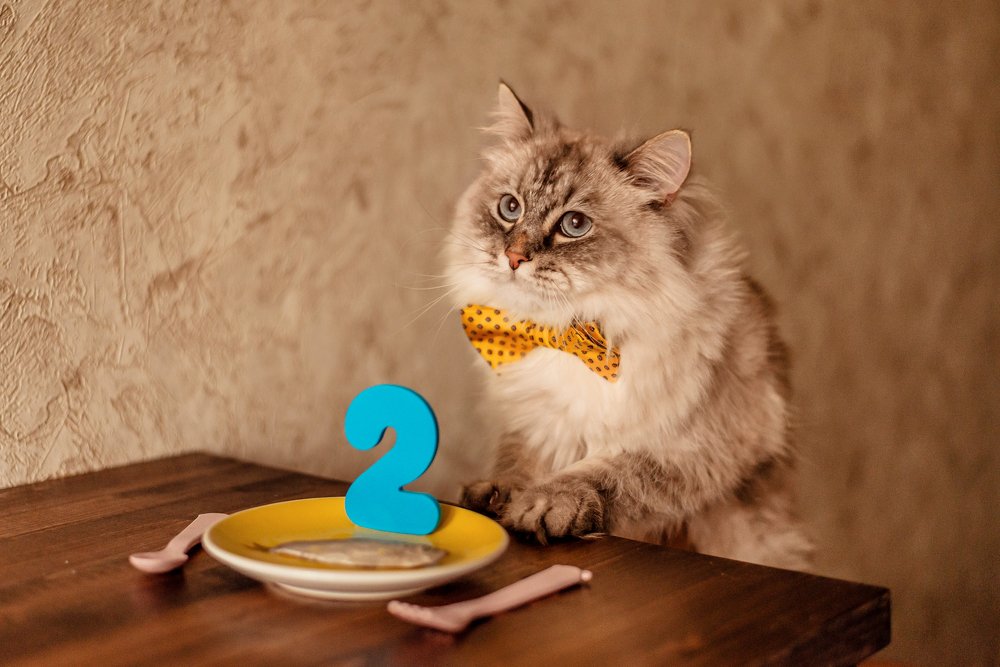 Шерлоку два!