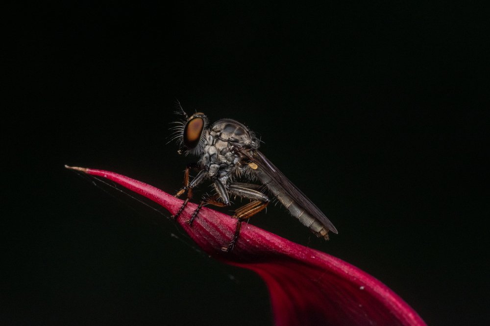 Photograph by Nicholas Ng