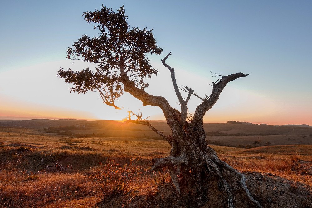 Photograph by Alex De Lima