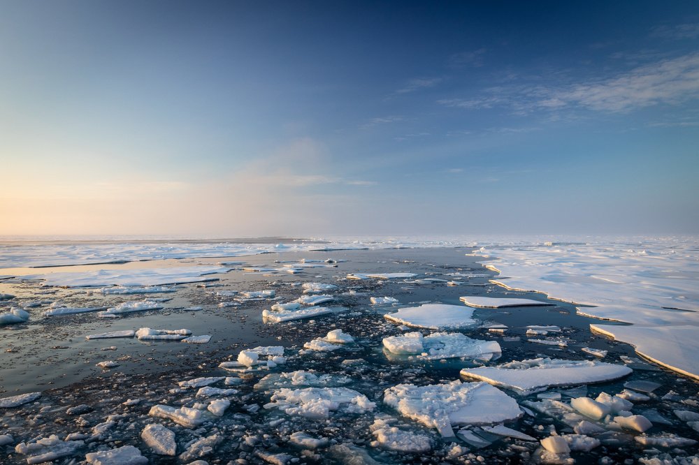 Photograph by Алексей Шматков