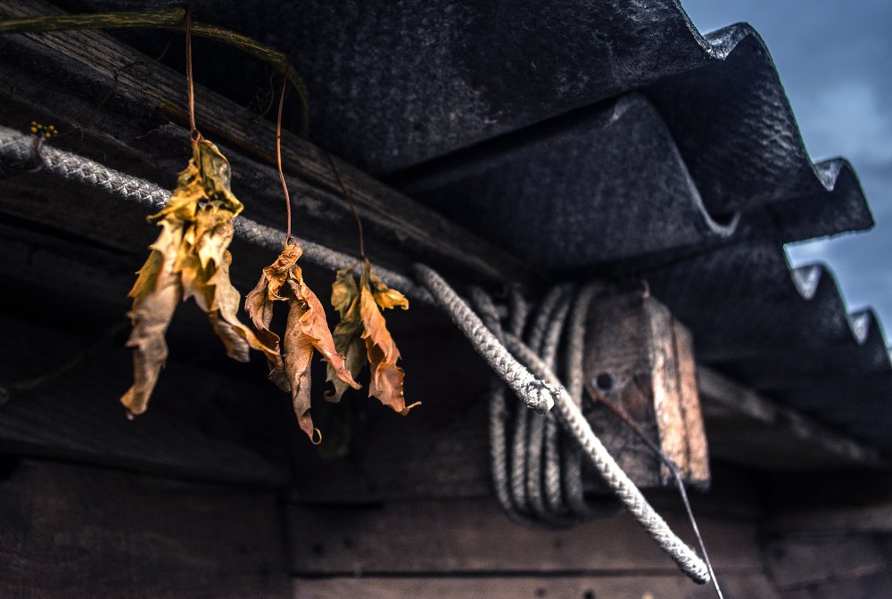 Photograph by Артем Полинин