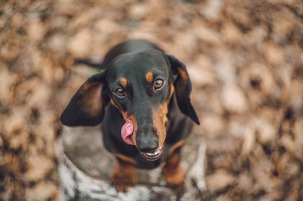 Photograph by Ольга Мурзина