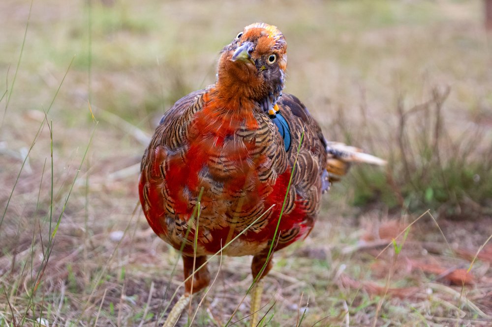 Photograph by Оксана Казакова