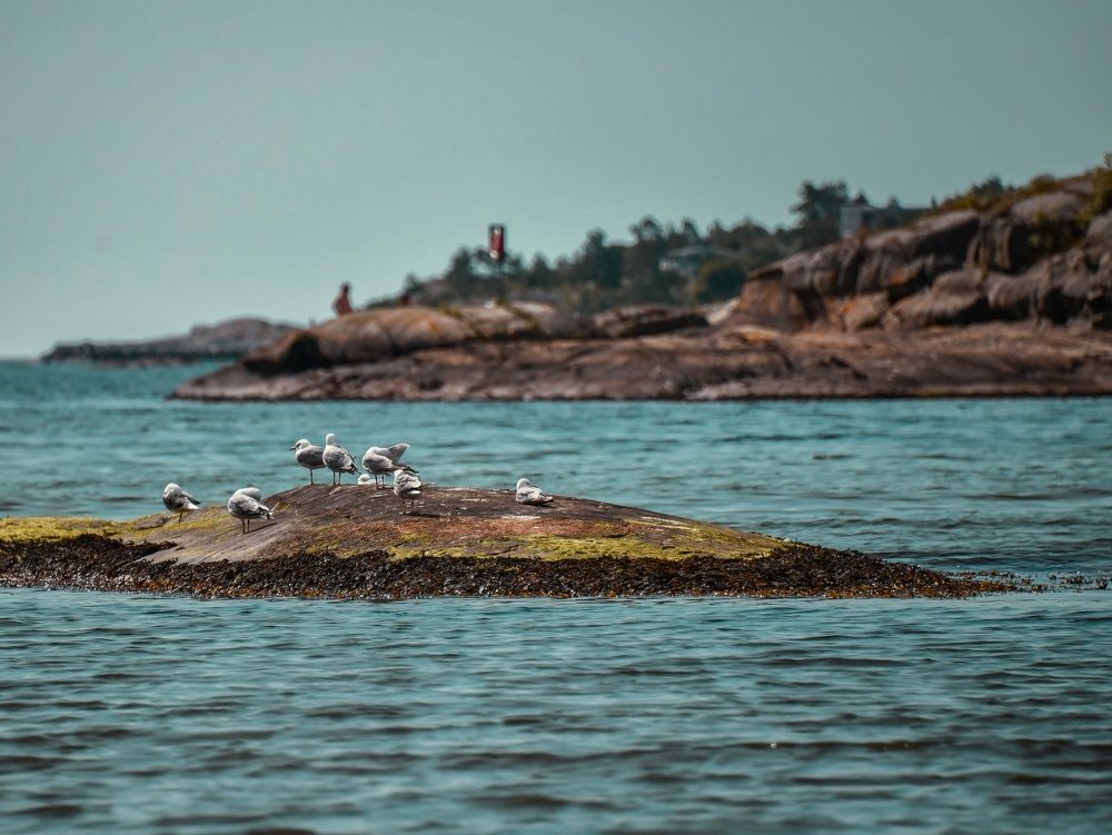 Фотография автора Anna NovaLova