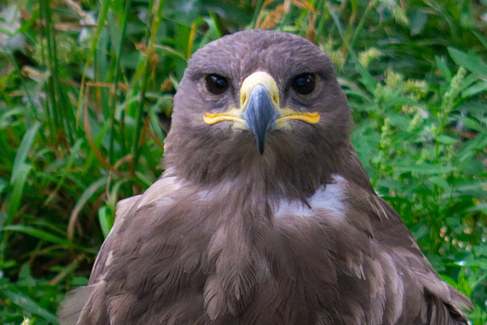 Photograph by Виктор Бурмистров