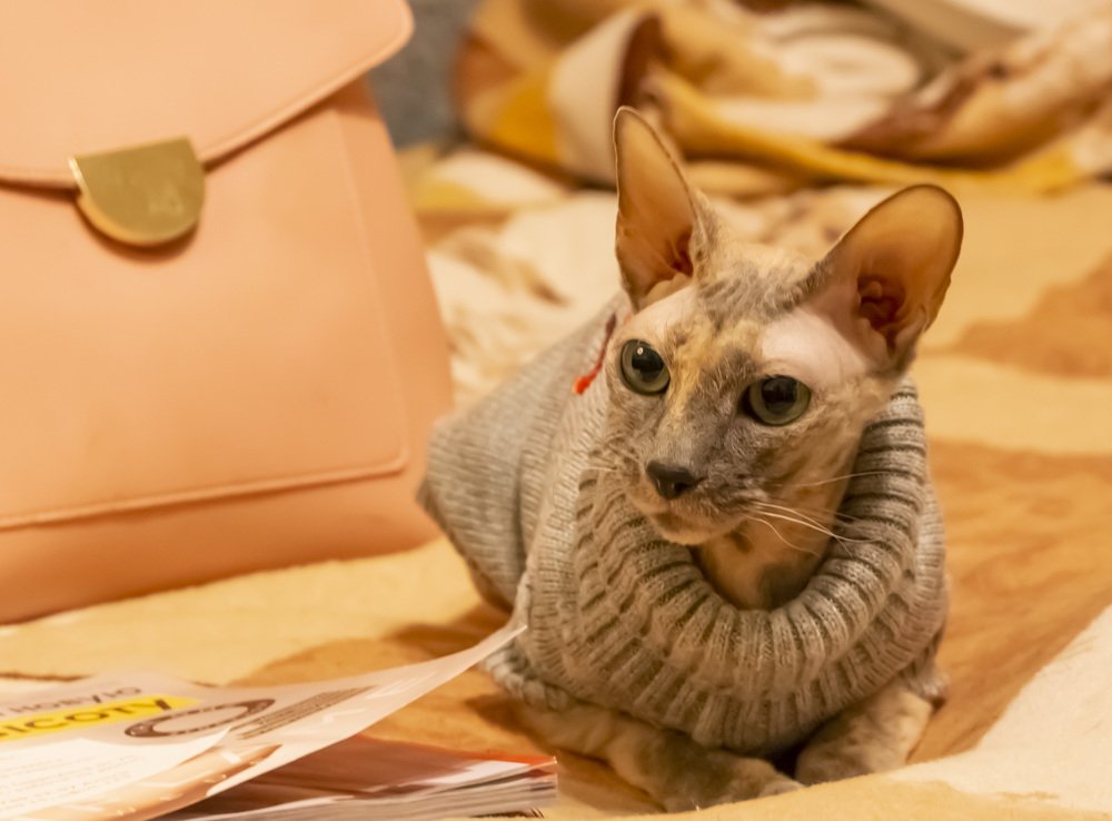 Photograph by Ирина Толокнова