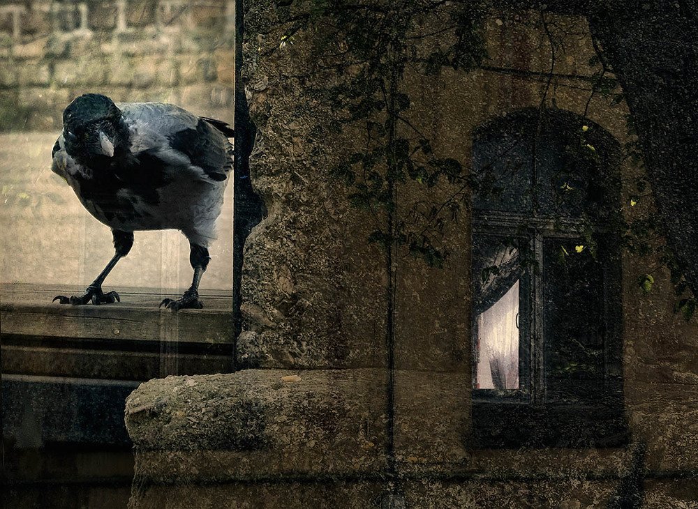 Страна лилипутов