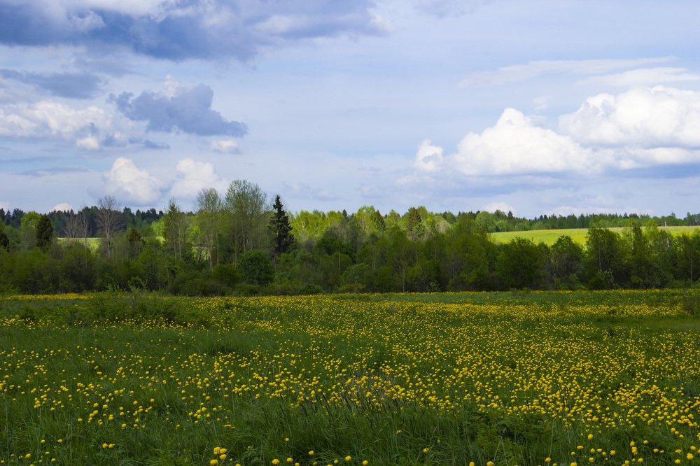 Photograph by Ирина Толокнова