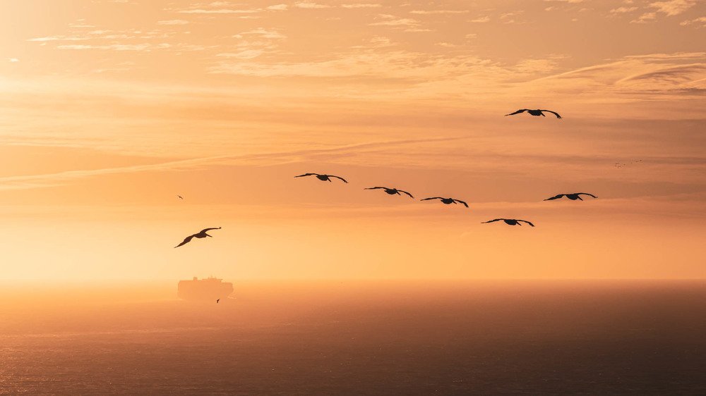 Photograph by Анна Широкова