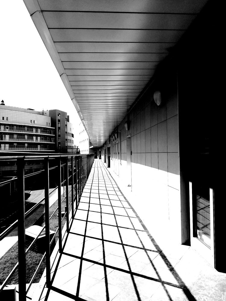 Photograph by Даркина Дарья