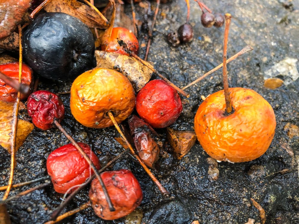 Уличный натюрморт