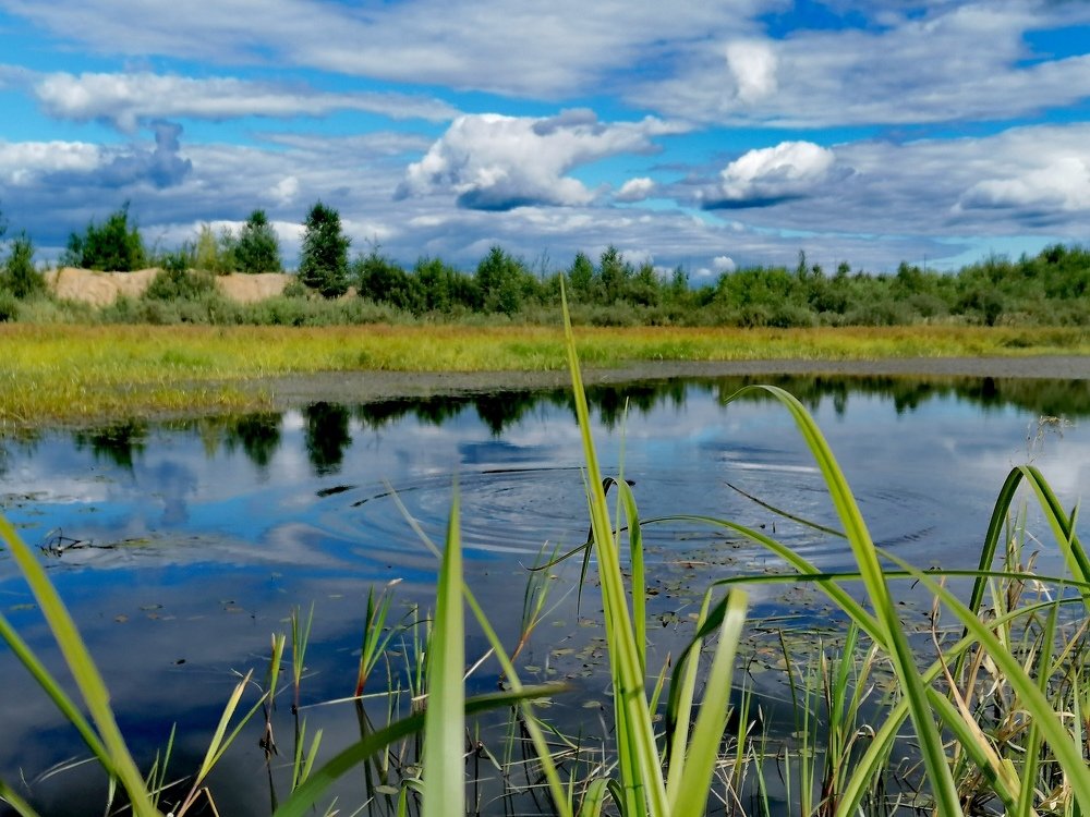 Тишина. Silence.